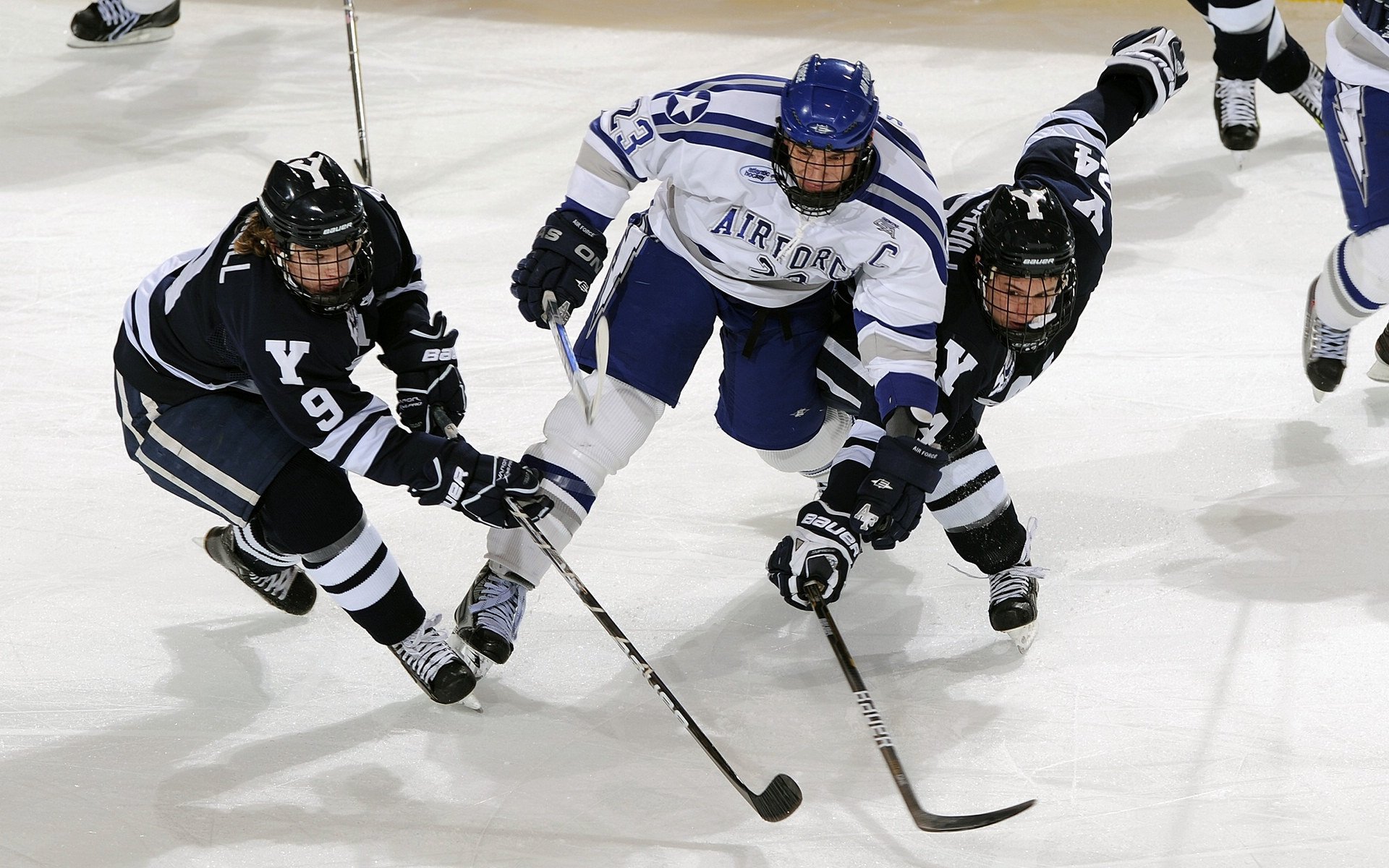 中国篮球教练员战术创新能力培养及培训机制，篮球训练教练简介